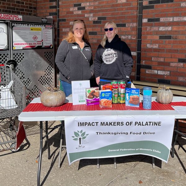 Collecting food for Thanksgiving Baskets for Palatine Township